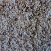 Sand Berber